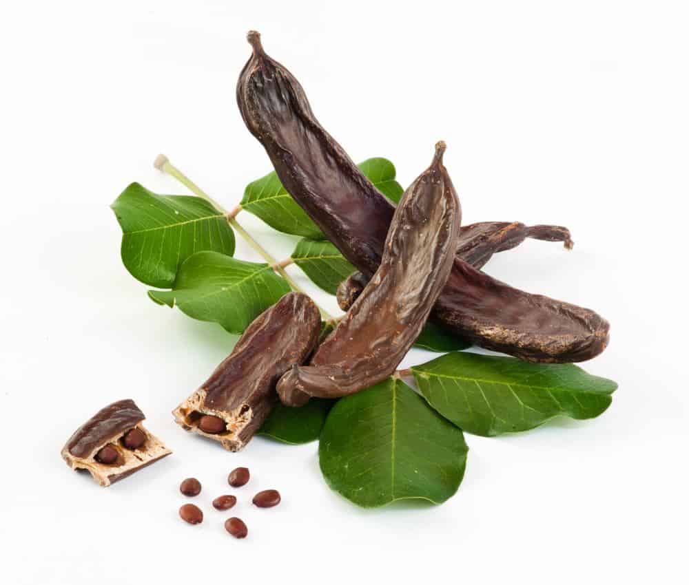 Carob and Carob nuts