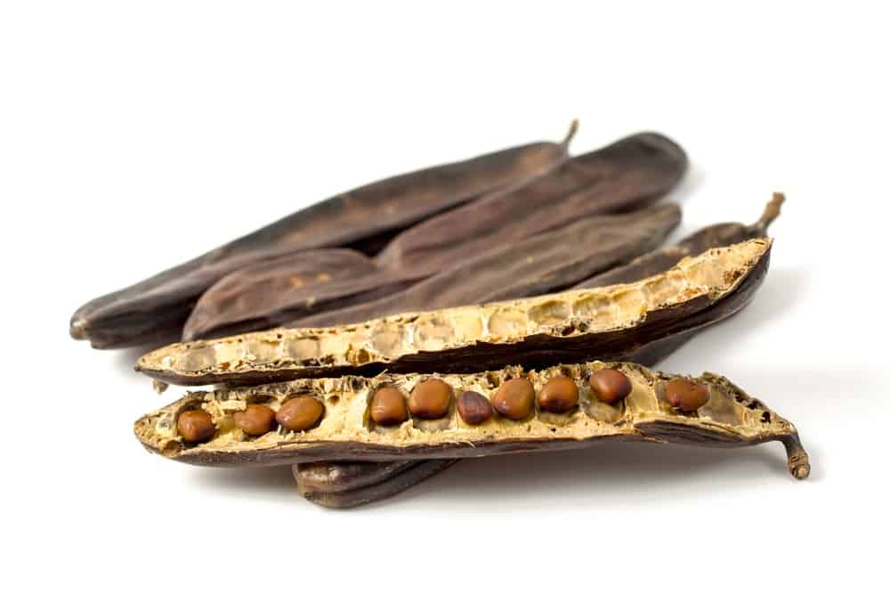 Carob and Carob nuts