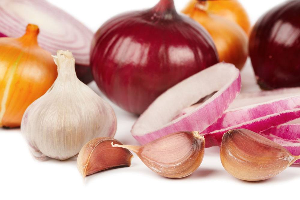 Garlic, sliced garlic and onions on the table