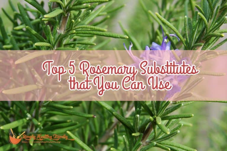 Top 5 Rosemary Substitutes that You Can Use