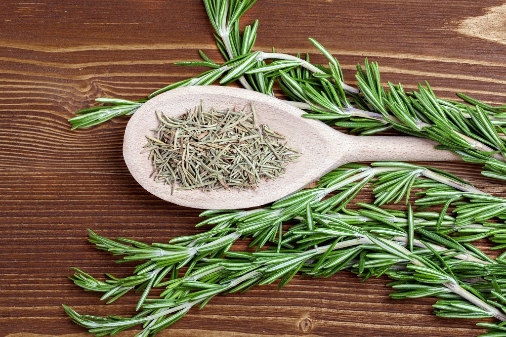 the branches of wormwood and a spoon on the table