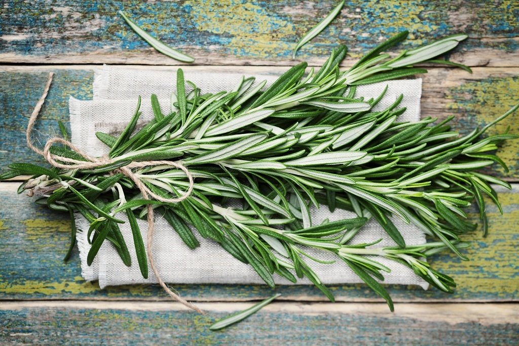 the branches of wormwood on the table