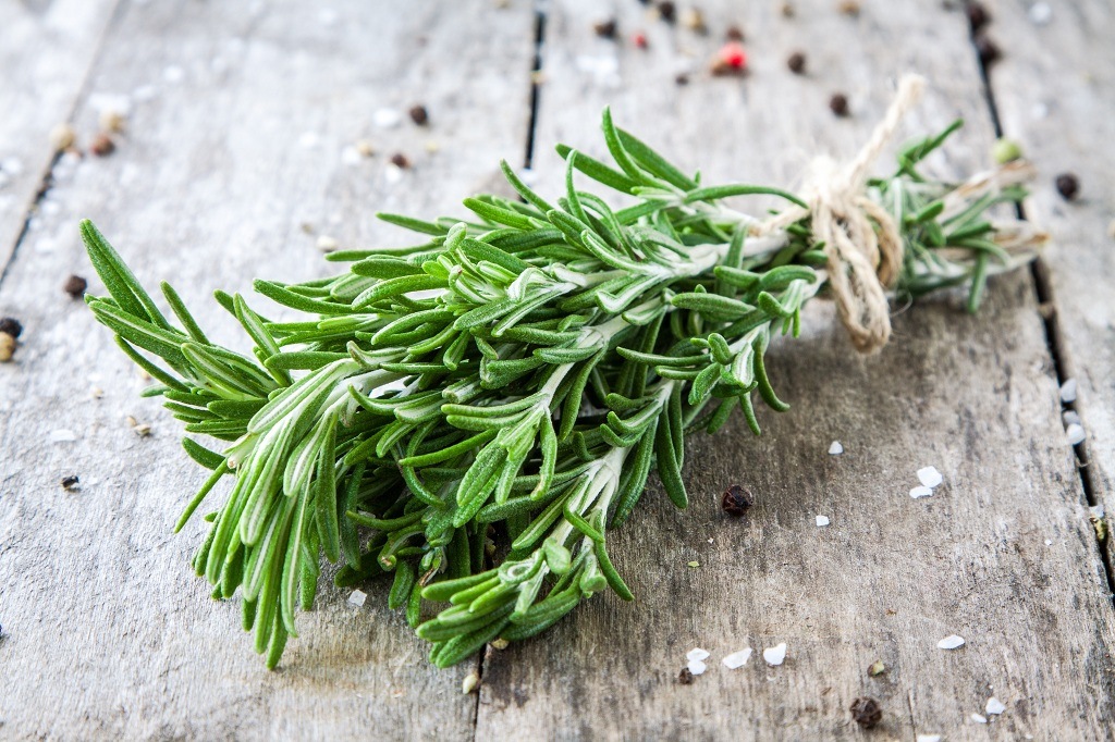 the branches of wormwood on the table