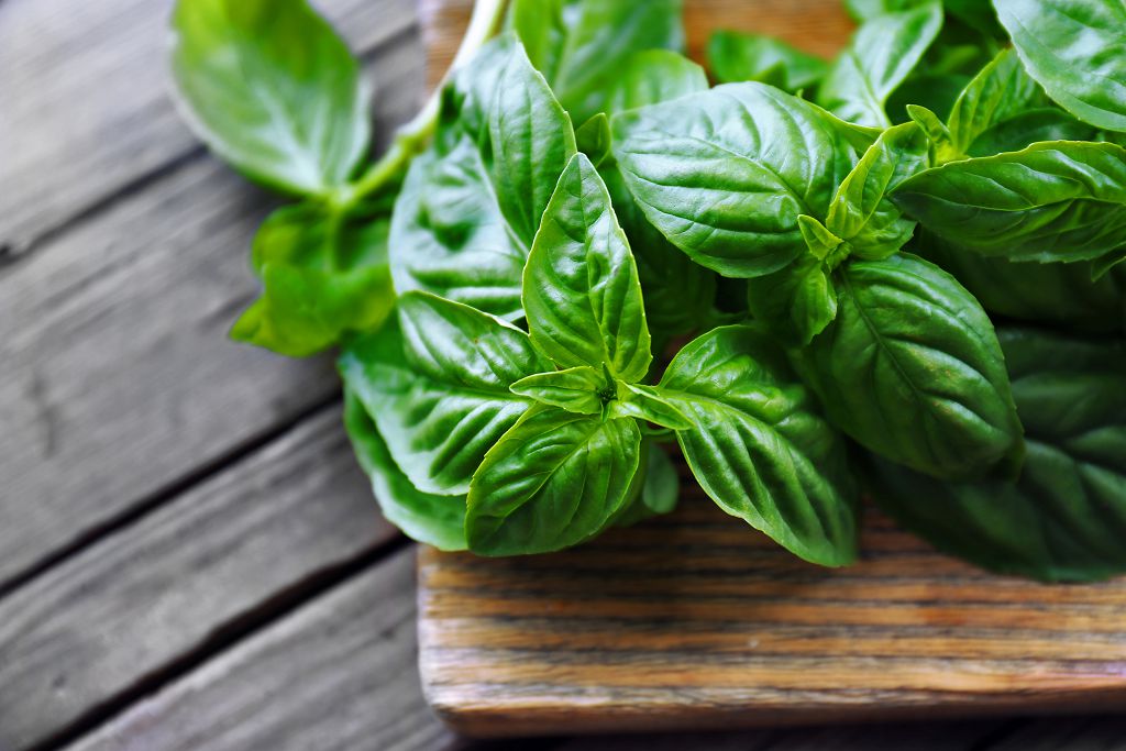 the basil branches on the chopping board