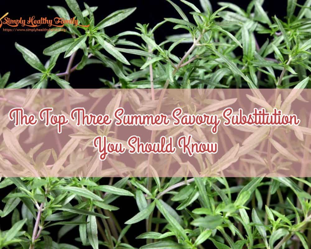 The Top Three Summer Savory Substitutes You Should Know Simply