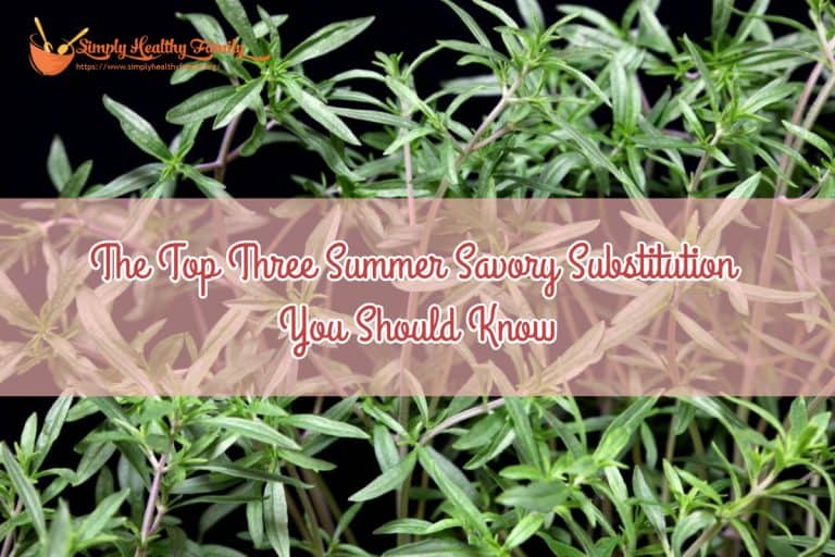 The Top Three Summer Savory Substitution You Should Know