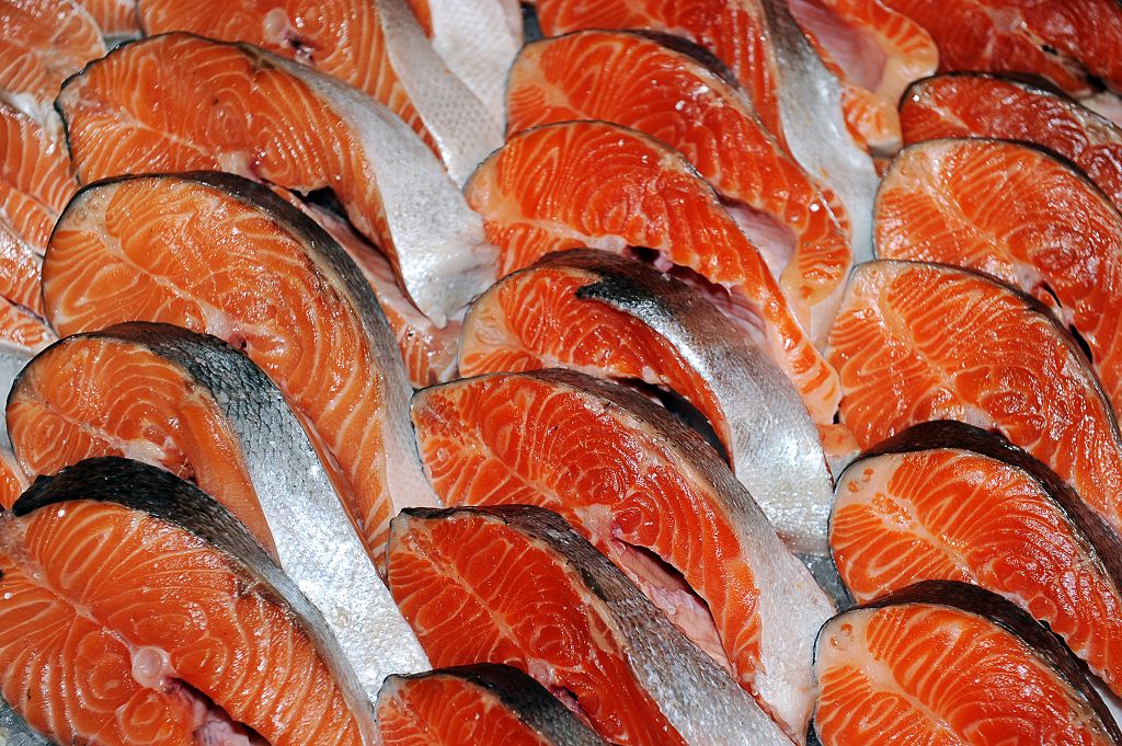 pieces of fresh salmon