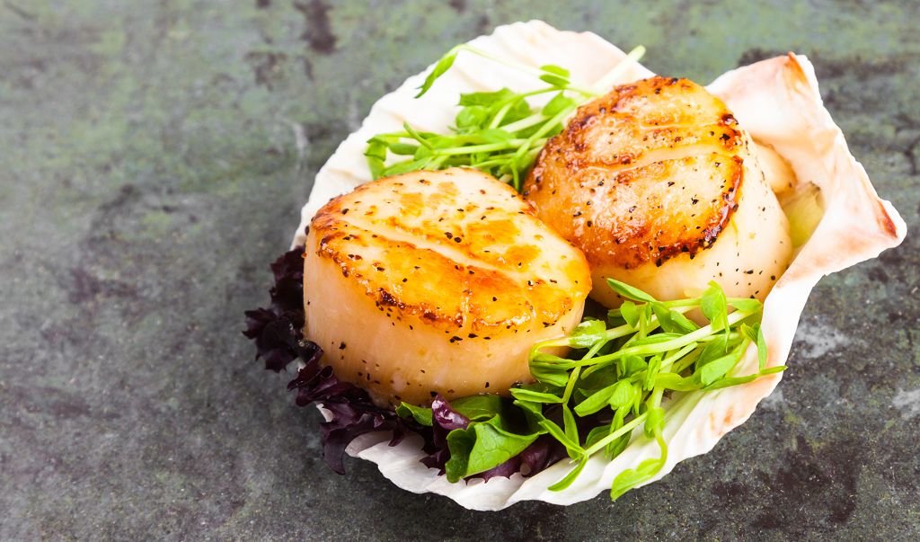  Grilled scallops and vegetables