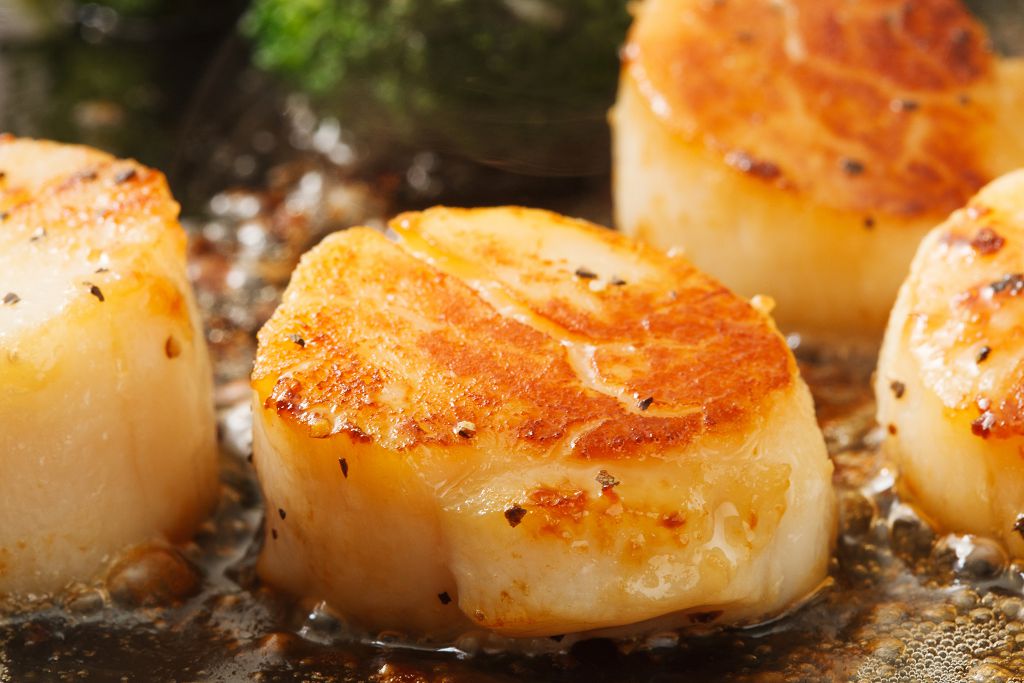 What Do Scallops Taste Like Why Are Scallops So Popular Simply Healthy Family