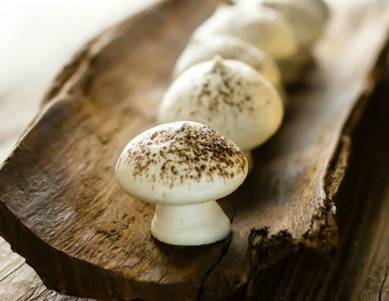 How Long Your Mushrooms Are Good For & How to Keep Them Fresh