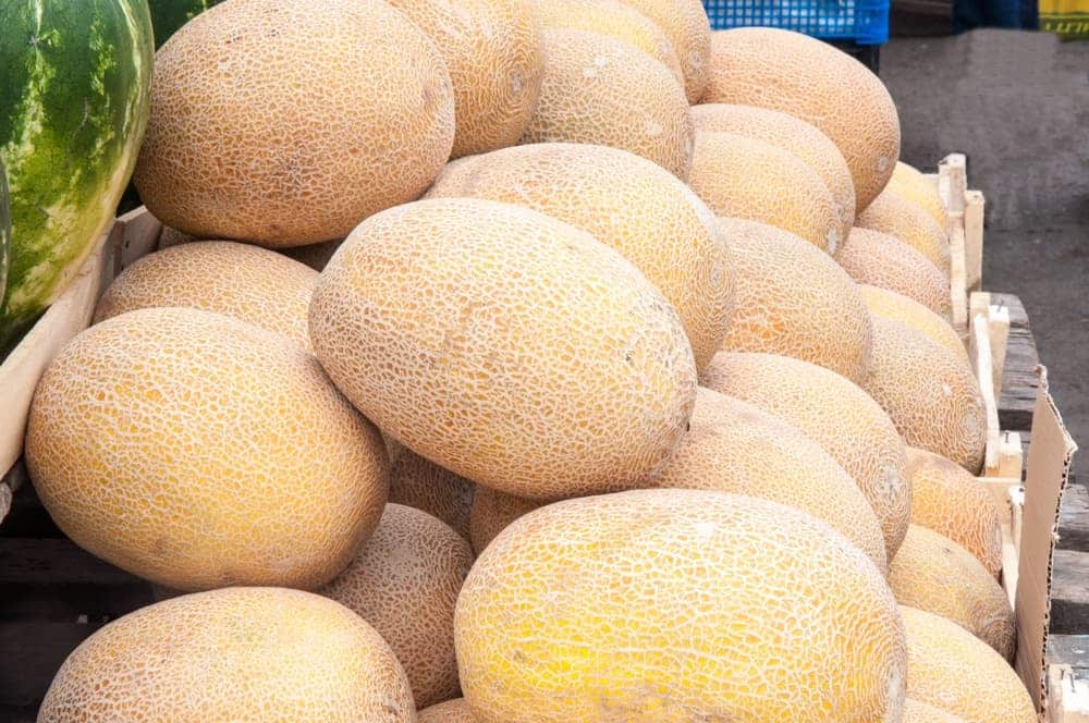 Honeydew Melon on the market