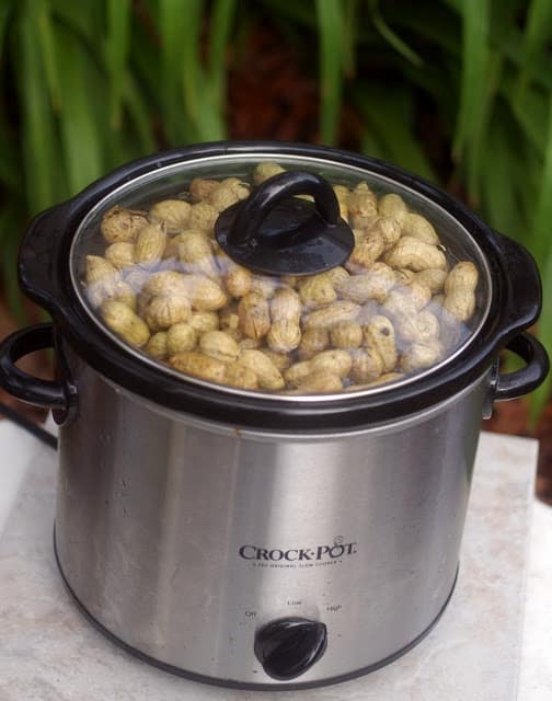 A crock pot of peanuts