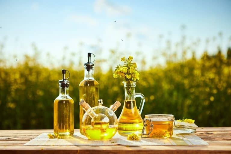 All About Cooking Oil