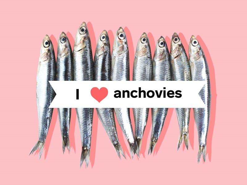 anchovies