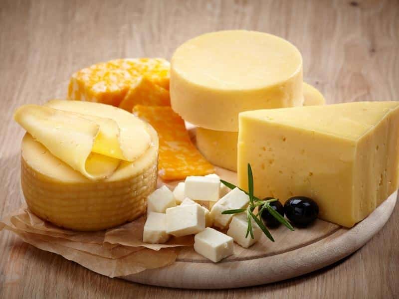 Dairy Substitutes for Feta Cheese