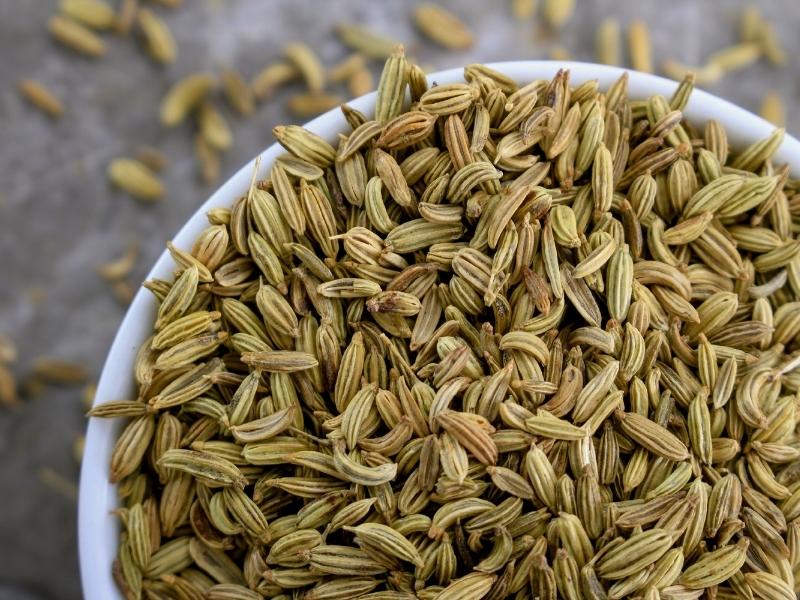 Fennel Seeds