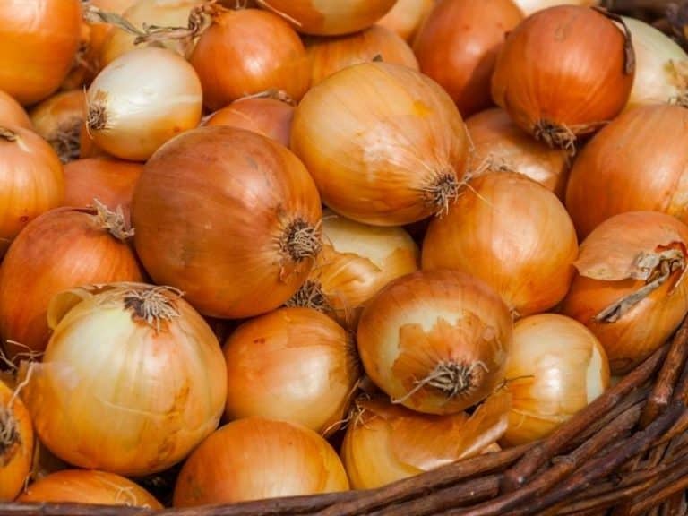 What Is A Spanish Onion 2023 Substitutes Cooking Simply Healthy Family