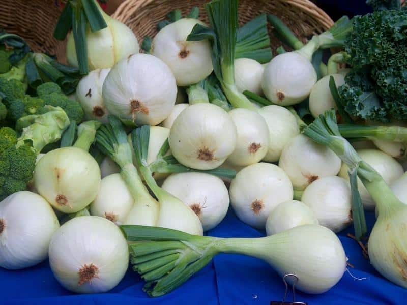 sweet onion