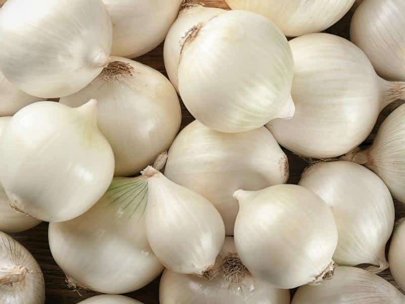 white onion