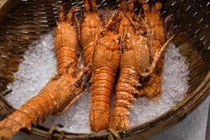 Scenery Portrait Of The Lobster Seafood In Market