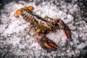 Raw Lobster On Ice