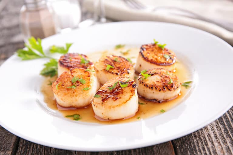 What Are Scallops? 2023