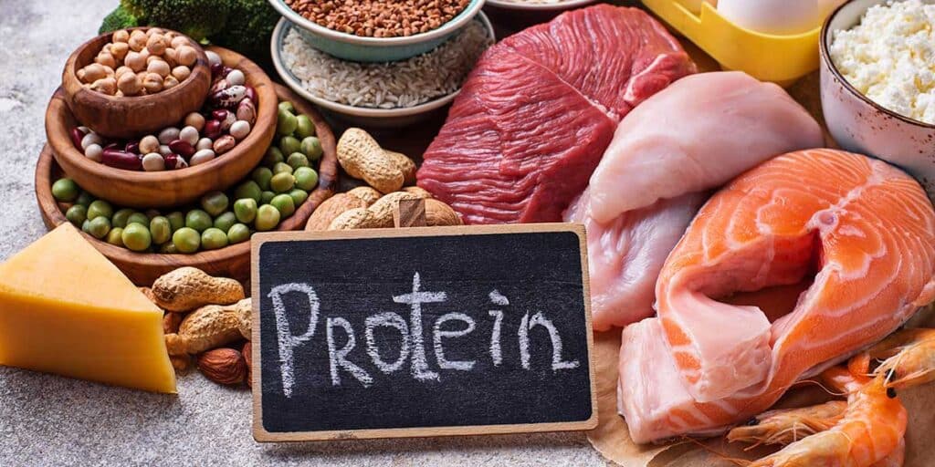 Protein Sources